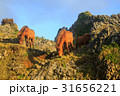 沖縄　与那国島　東崎の与那国馬 31656221
