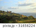 沖縄　与那国島　東崎の与那国馬 31656224