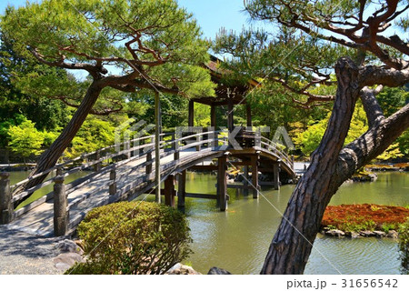 永保寺無際橋 31656542