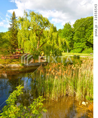 Beautiful landscape in Southern Poland near 31656543