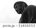 鎌倉大仏 高徳院 31656553