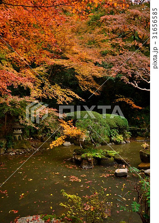 長楽寺庭園 31656585