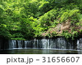 白糸の滝 31656607