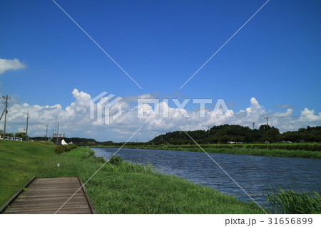 多古あじさい館裏の川べり(日本、千葉県、香取郡） 31656899