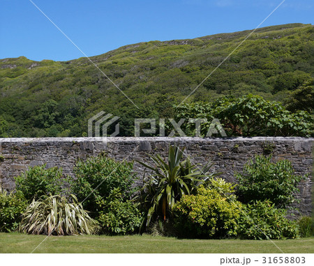 victorian walled garden victorian walled garden 31658803