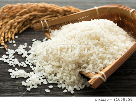 米 米粒 農産物 竹ザル 米 米粒 農産物 竹ザル 31659559