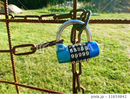 Closeup of a locked gate to a garden with lock. 31659842