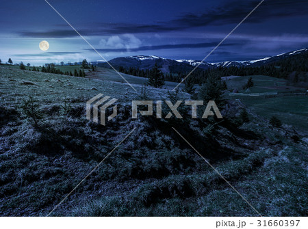 snowy tops of carpathians in springtime at night 31660397