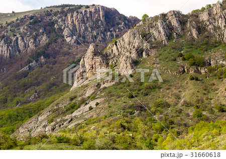 hillside slope covered with greenery with stone hillside slope covered with greenery with stone 31660618