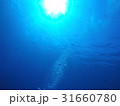 ダイビング　背景素材（海中） 31660780