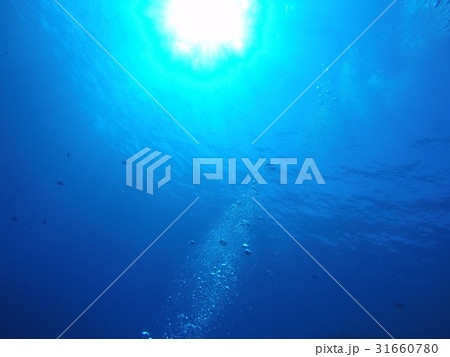 ダイビング　背景素材（海中） 31660780