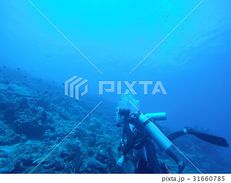 ダイビング(diving) 31660785