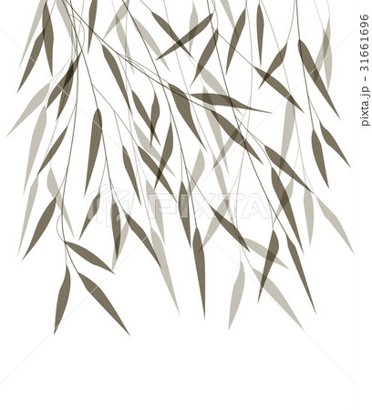 Vector bamboo leaves 31661696