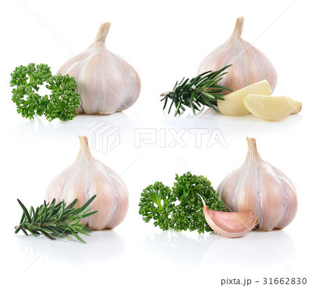 Garlic and Parsley ,rosemary isolated on a white 31662830