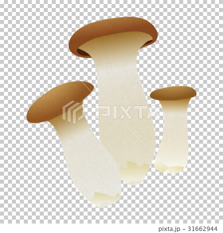 Mushroom mushrooms Mushroom mushrooms 31662944