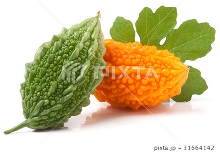 green and yellow momordica or karela isolated on green and yellow momordica or karela isolated on 31664142