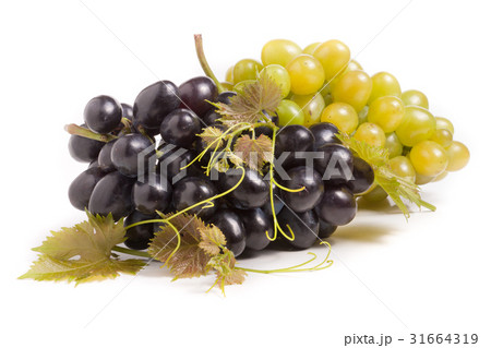 bunch of green and blue grape with leaves isolated 31664319