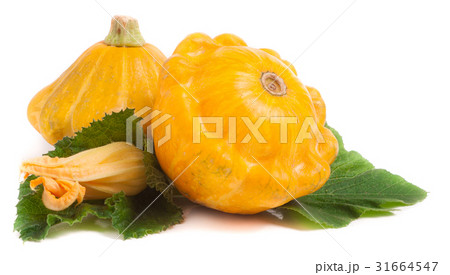 two yellow pattypan squash with leaf and flower two yellow pattypan squash with leaf and flower 31664547