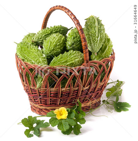 bitter melon or momordica in a wicker basket 31664649