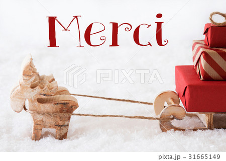 Reindeer With Sled On Snow, Merci Means Thank You 31665149