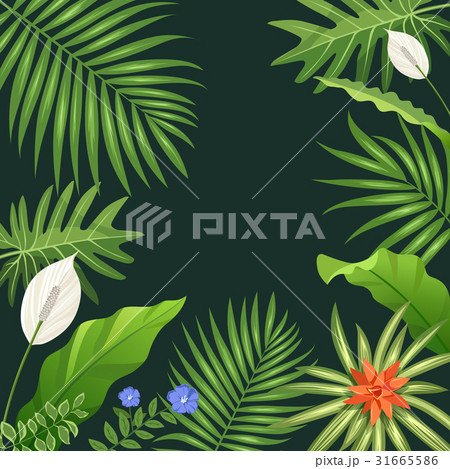 Tropical green leaf and flower background 31665586