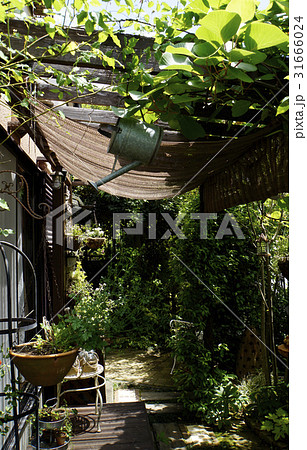 サービスヤード　中庭　パーゴラ　 31666024