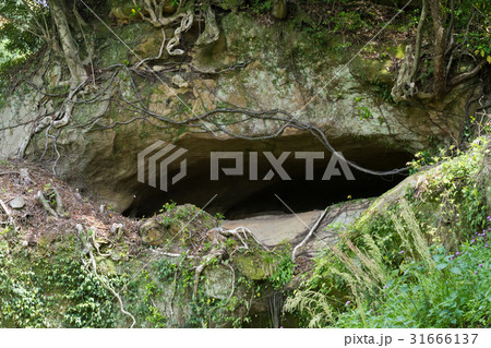 福井洞窟 31666137