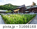九州への旅、日本一のしめなわと、菖蒲で知られています、福岡県の宮地獄神社を、ご紹介いたします。 31666168