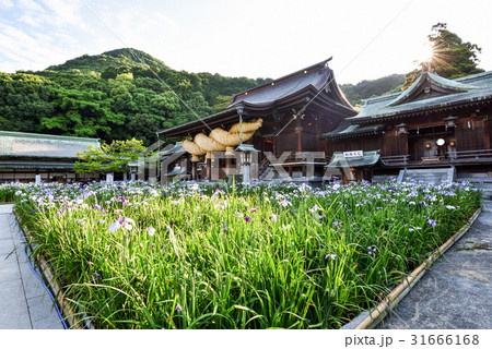九州への旅、日本一のしめなわと、菖蒲で知られています、福岡県の宮地獄神社を、ご紹介いたします。 31666168