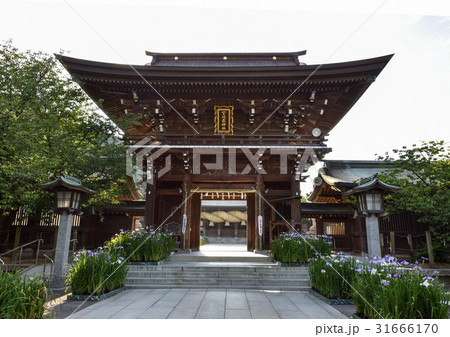 九州への旅、日本一のしめなわと、菖蒲で知られています、福岡県の宮地獄神社を、ご紹介いたします。 31666170