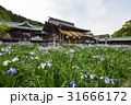 九州への旅、日本一のしめなわと、菖蒲で知られています、福岡県の宮地獄神社を、ご紹介いたします。 31666172