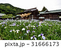 九州への旅、日本一のしめなわと、菖蒲で知られています、福岡県の宮地獄神社を、ご紹介いたします。 31666173