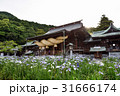 九州への旅、日本一のしめなわと、菖蒲で知られています、福岡県の宮地獄神社を、ご紹介いたします。 31666174