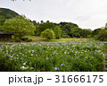 九州への旅、日本一のしめなわと、菖蒲で知られています、福岡県の宮地獄神社を、ご紹介いたします。 31666175
