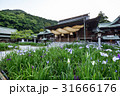 九州への旅、日本一のしめなわと、菖蒲で知られています、福岡県の宮地獄神社を、ご紹介いたします。 31666176