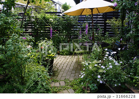 猛暑対策にお洒落なシェードガーデン ウッドデッキとウッドフェンス 猛暑対策にお洒落なシェードガーデン ウッドデッキとウッドフェンス 31666228