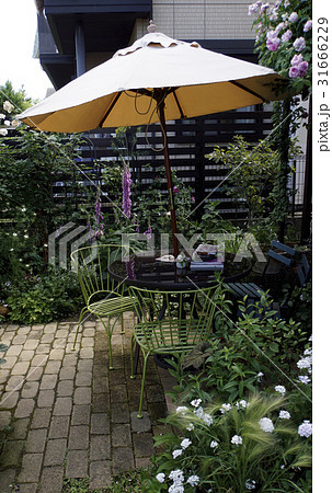 シェードガーデン ウッドフェンス シェードガーデン ウッドフェンス 31666229