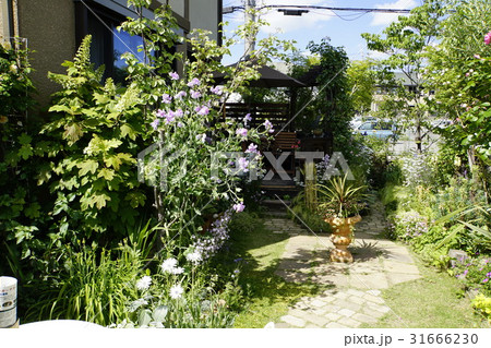 シェードガーデン ウッドデッキ シェードガーデン ウッドデッキ 31666230