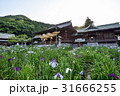 九州への旅、日本一のしめなわと江戸菖蒲で有名な、宮地獄神社をご紹介いたします。 31666255
