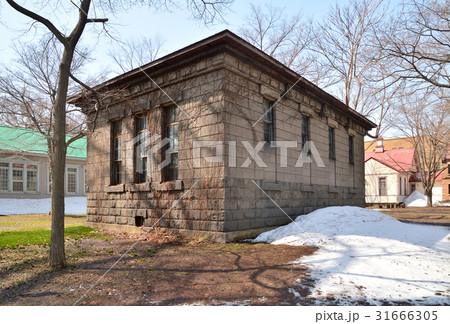 札幌散歩：旧北海道帝国大学農学部昆虫学標本室　北海道大学構内 31666305