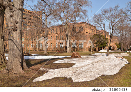 札幌散歩：総合博物館(旧理学部本館)　北海道大学構内 31666453