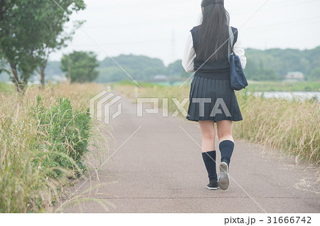 通学路の女子高生 後ろ姿の写真素材