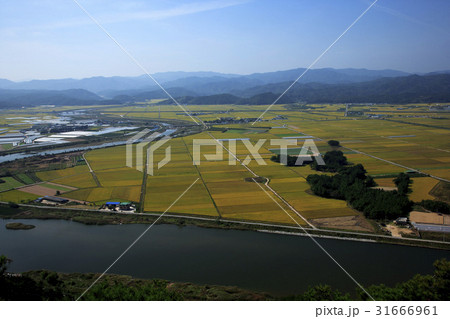 秋 川 河 31666961