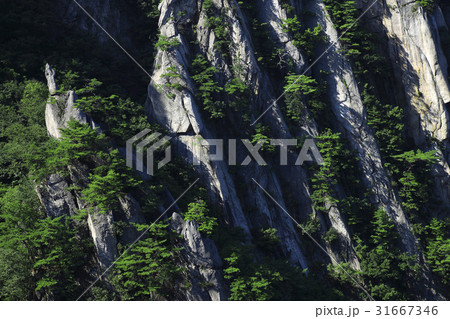 京畿道 キョンギド 夏 31667346