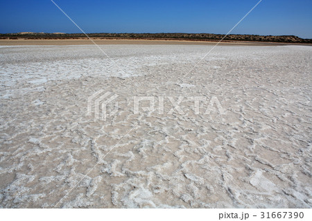 塩 旅行 塩田 31667390