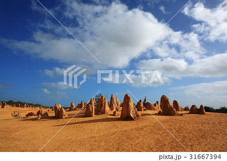 ナムブン国立公園 砂漠 ピナクルズ 31667394
