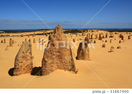ナムブン国立公園 砂漠 ピナクルズ 31667400