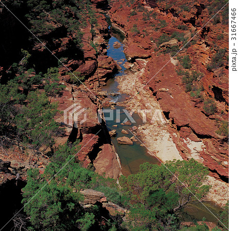 川 河 崖 31667466