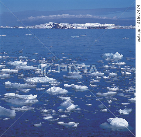 南極 氷山 氷 31667474