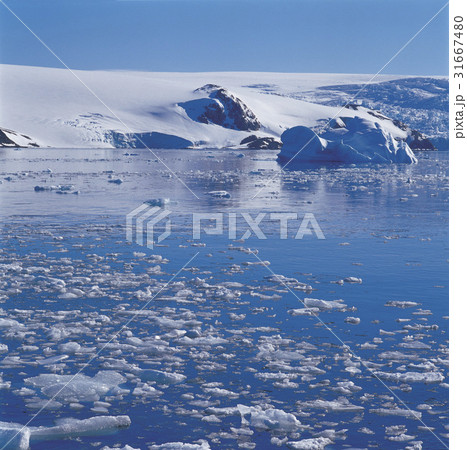南極 海 氷山 31667480